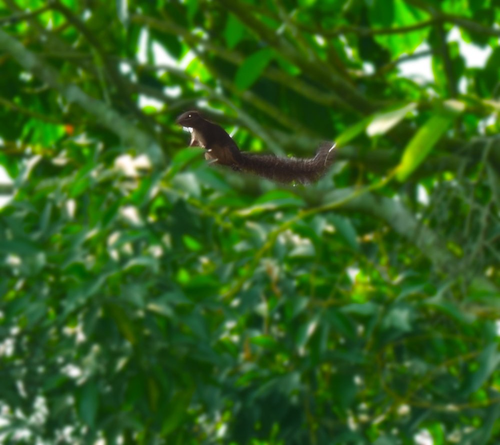 Photograph by Paul Oamen