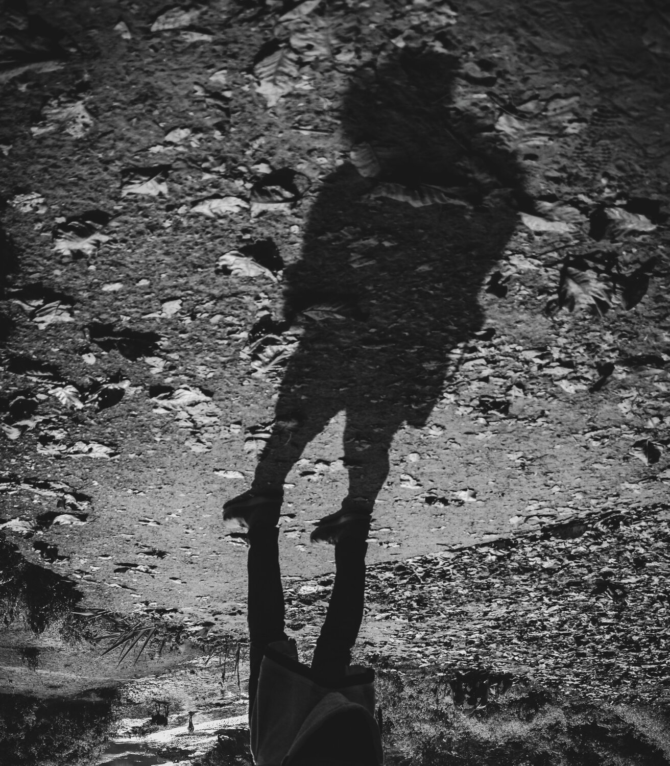 Photo #4175833
