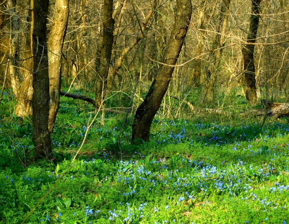 Photograph by Светлана Карпенко