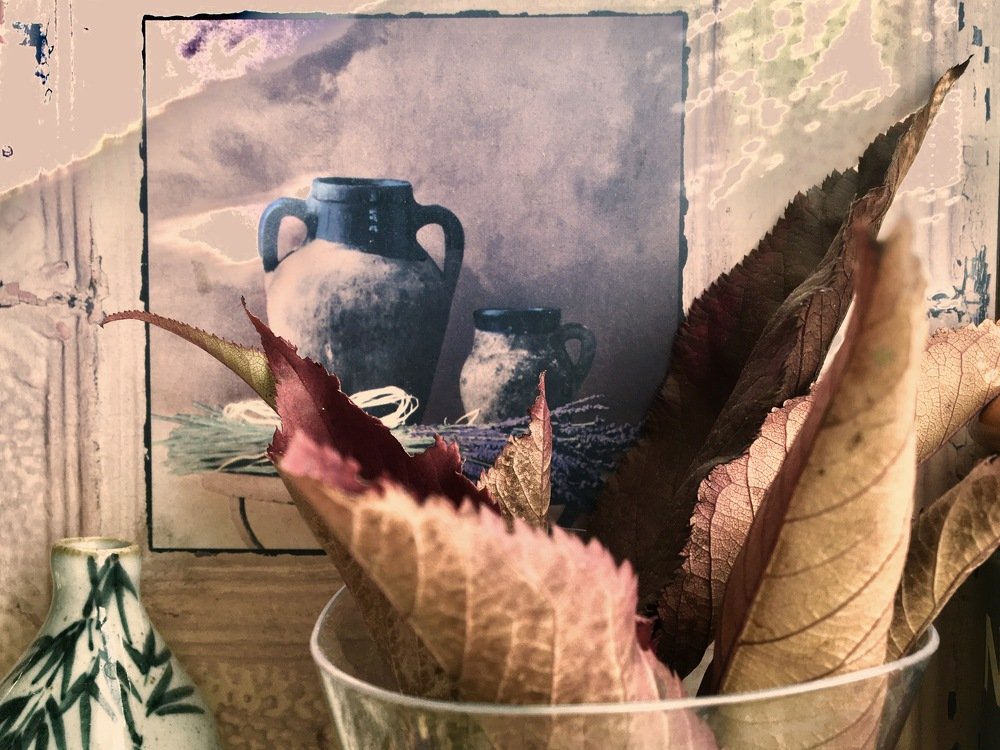 Photograph by Елена Ким