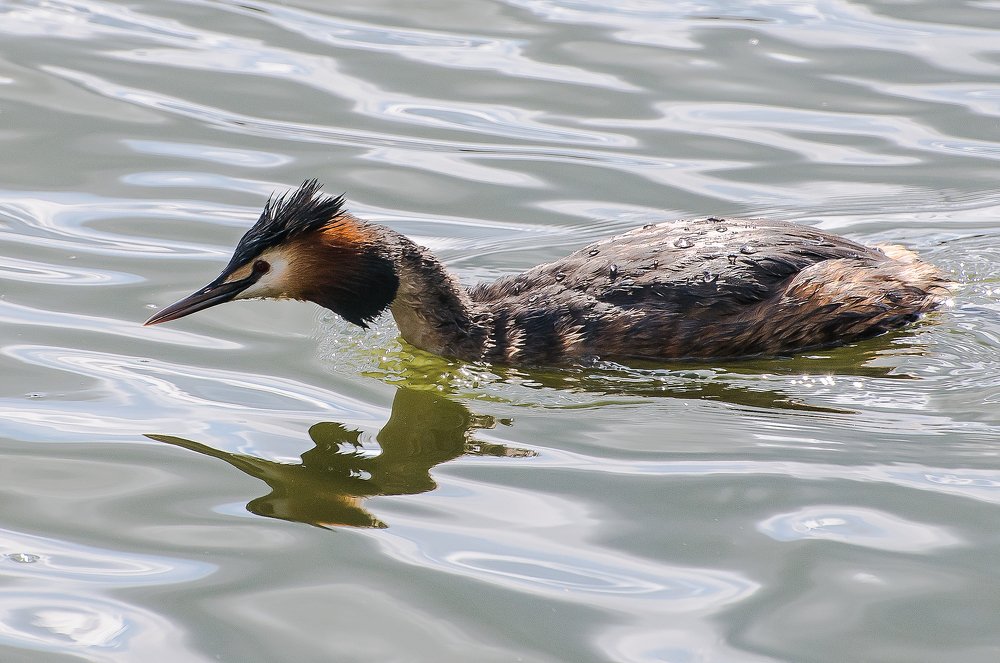 Photograph by Александр Поборчий