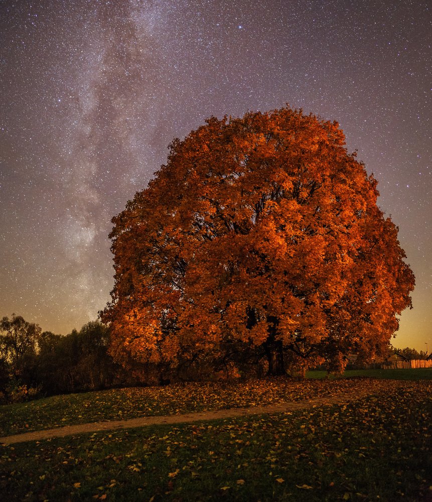 Photograph by Vitalis Vasylius