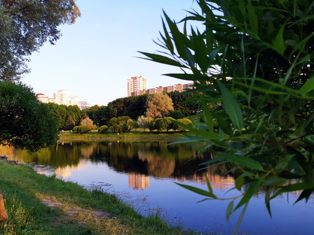 the beauty of the city