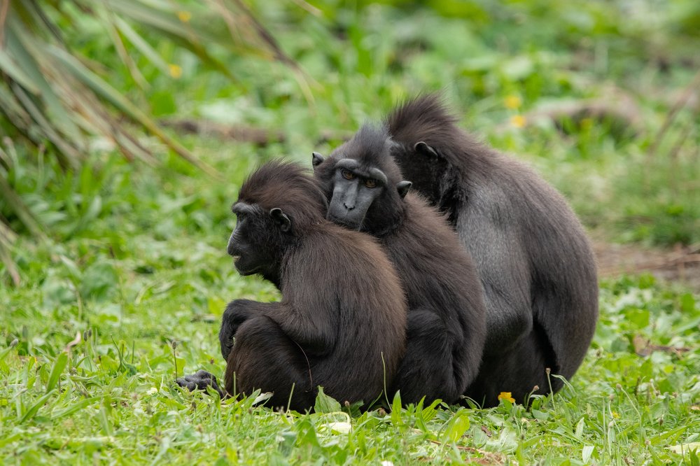 Фотография автора Thivanka Ilanperuma