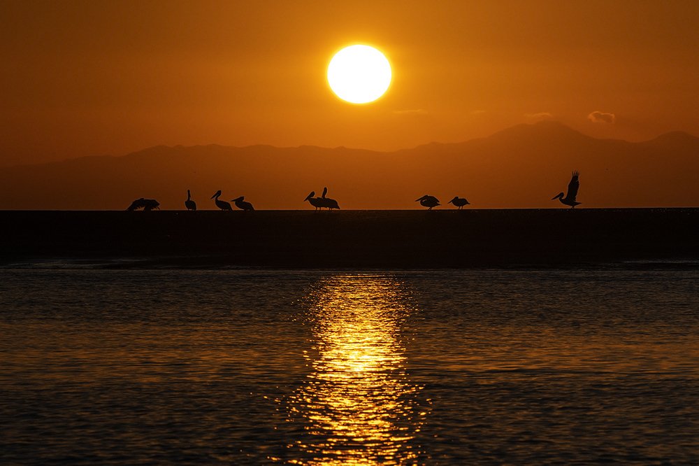 Photograph by Mehdi Dorostkar