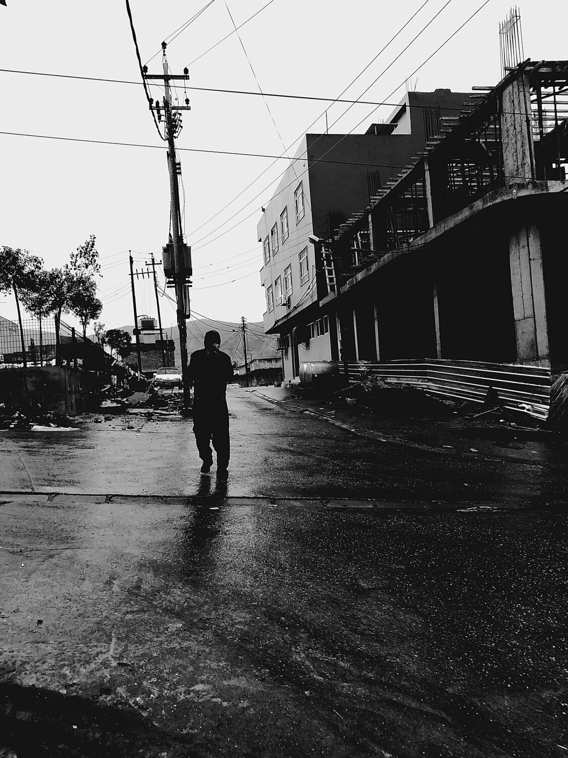 Photo #4176341
