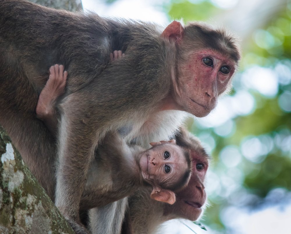 Photograph by Abhigya Jain