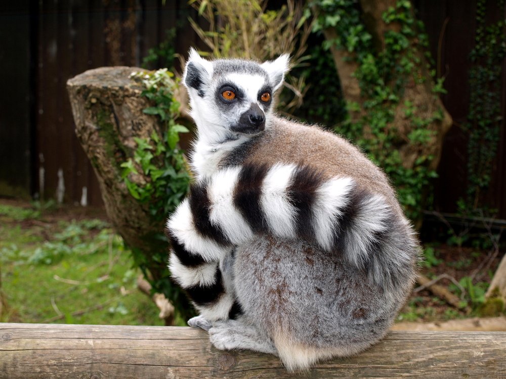 Фотография автора Ольга Завадилика