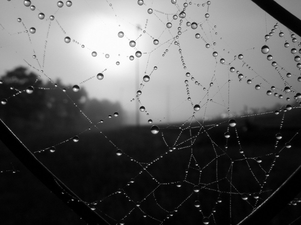 Фотография автора Ольга Завадилика