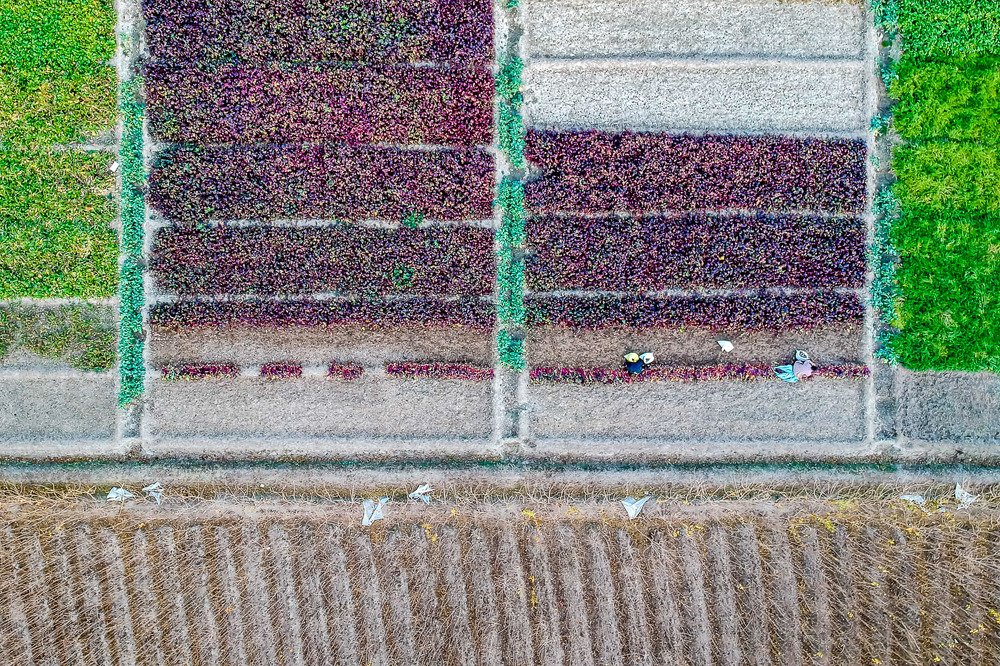 Photograph by Hamid Jamshidian