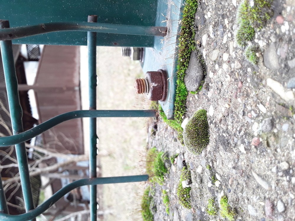 Photo #4176530