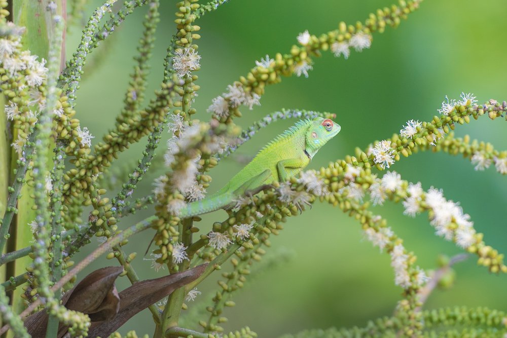 Photograph by Руслан Атаманчук