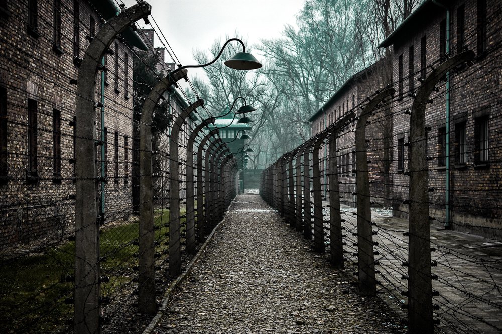 Photograph by Holden Perpelitz