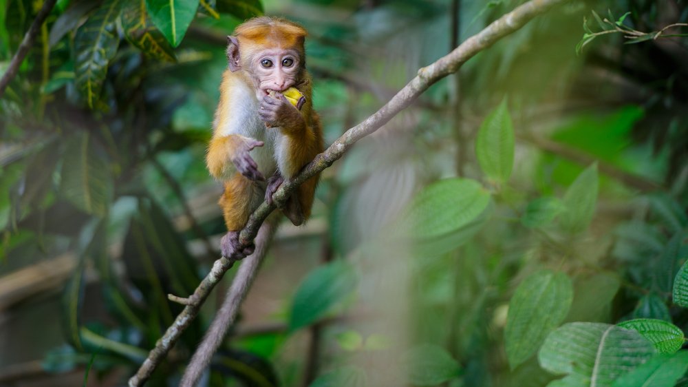 Photograph by Руслан Атаманчук