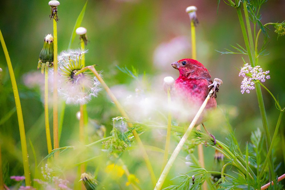 Photograph by Станислав Аристов