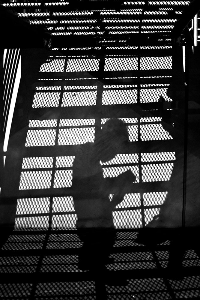 Photograph by Falú Hinojosa