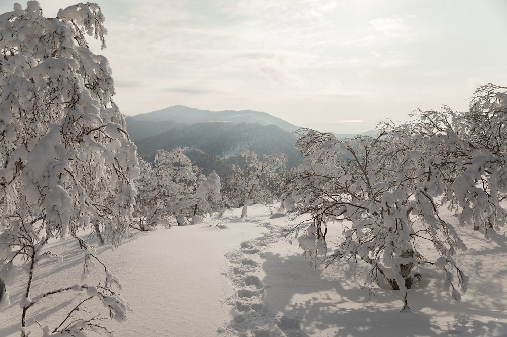 Фотография автора Дмитрий Эбингер