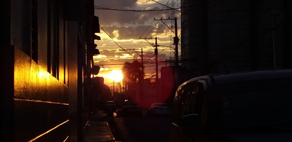 Photo #4176841