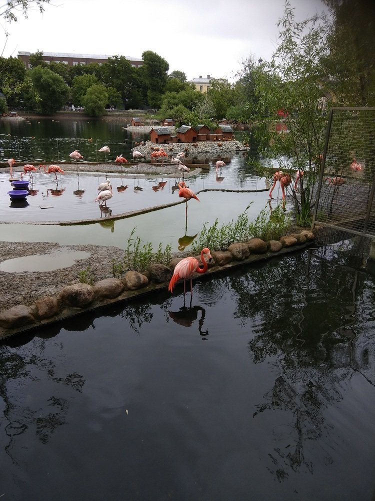 Photograph by Оксана Зяблова