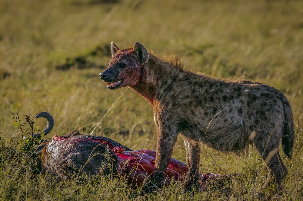 Photograph by Smita Behera