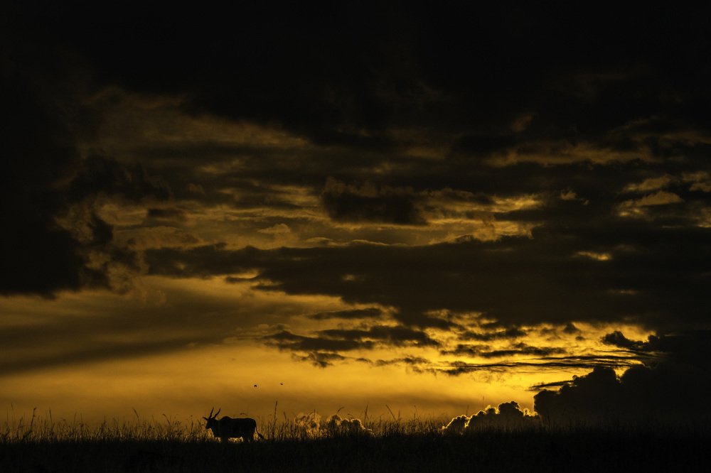 Photograph by Smita Behera