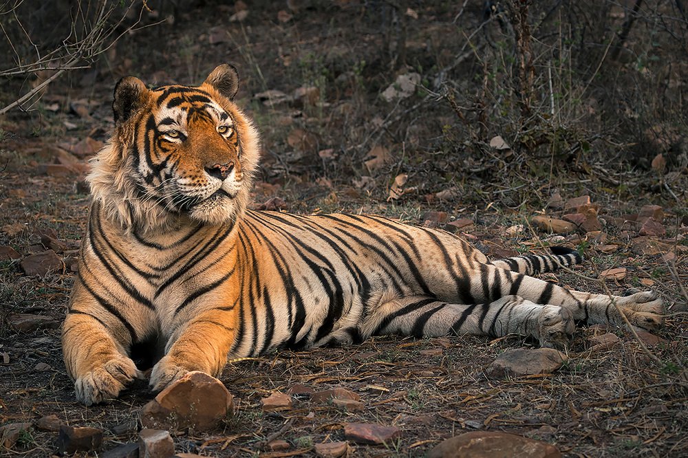 Photograph by Smita Behera