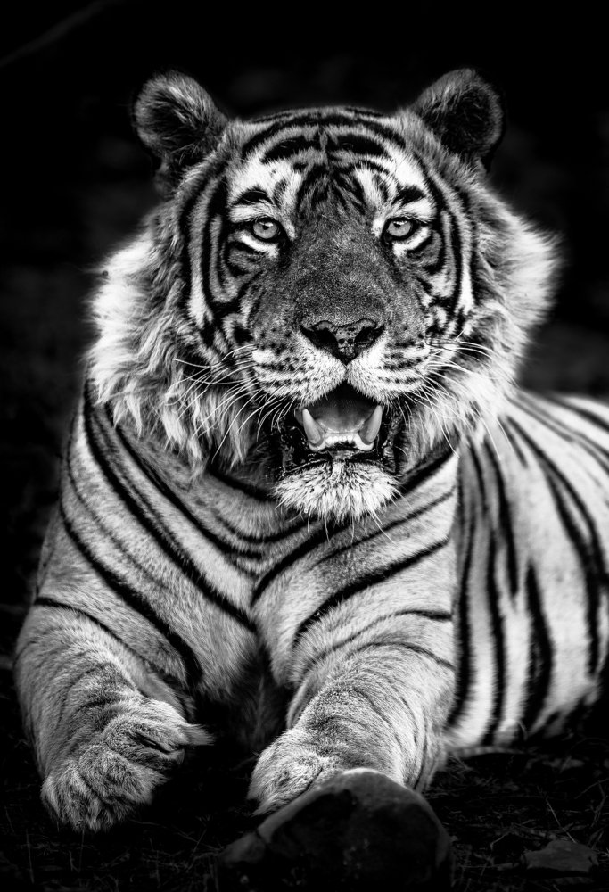 Photograph by Smita Behera