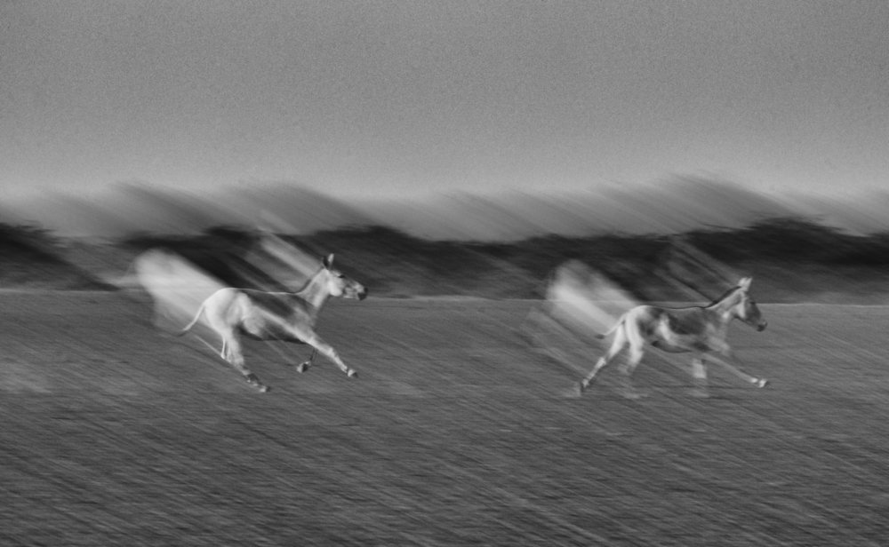 Photograph by Smita Behera