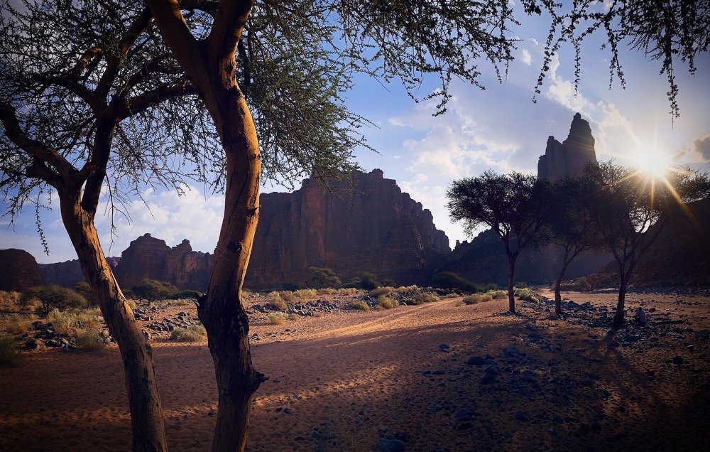 Photograph by Khaled Hmaad