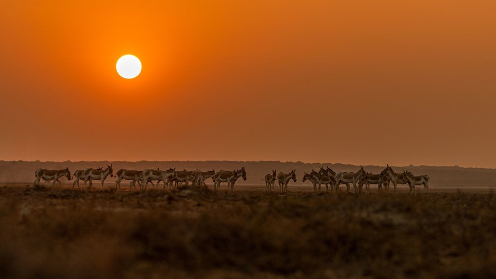 Photograph by Smita Behera