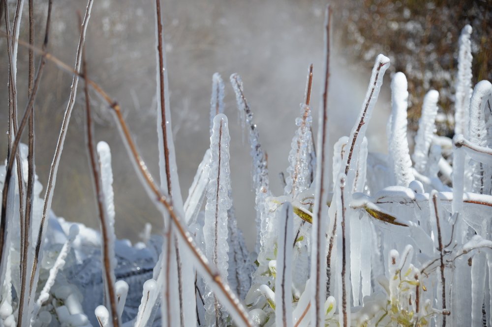 Photograph by Варвара Моргунова