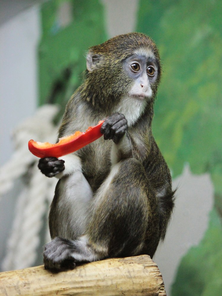 Photograph by Головина Ольга