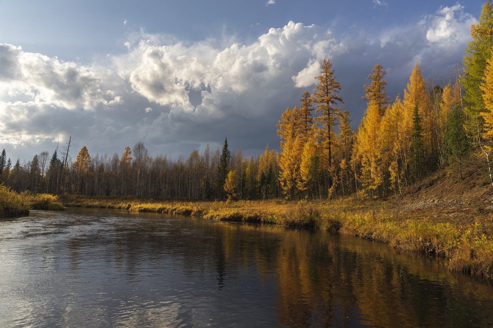 Осень в Сибири