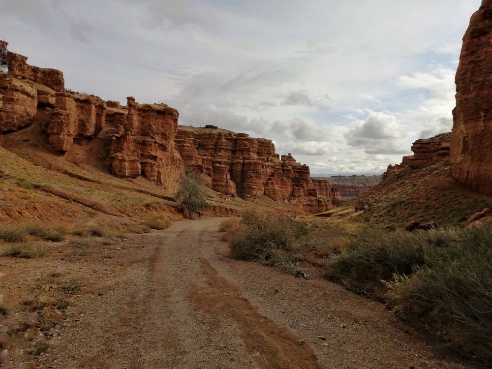 Photograph by Олеся Пинская