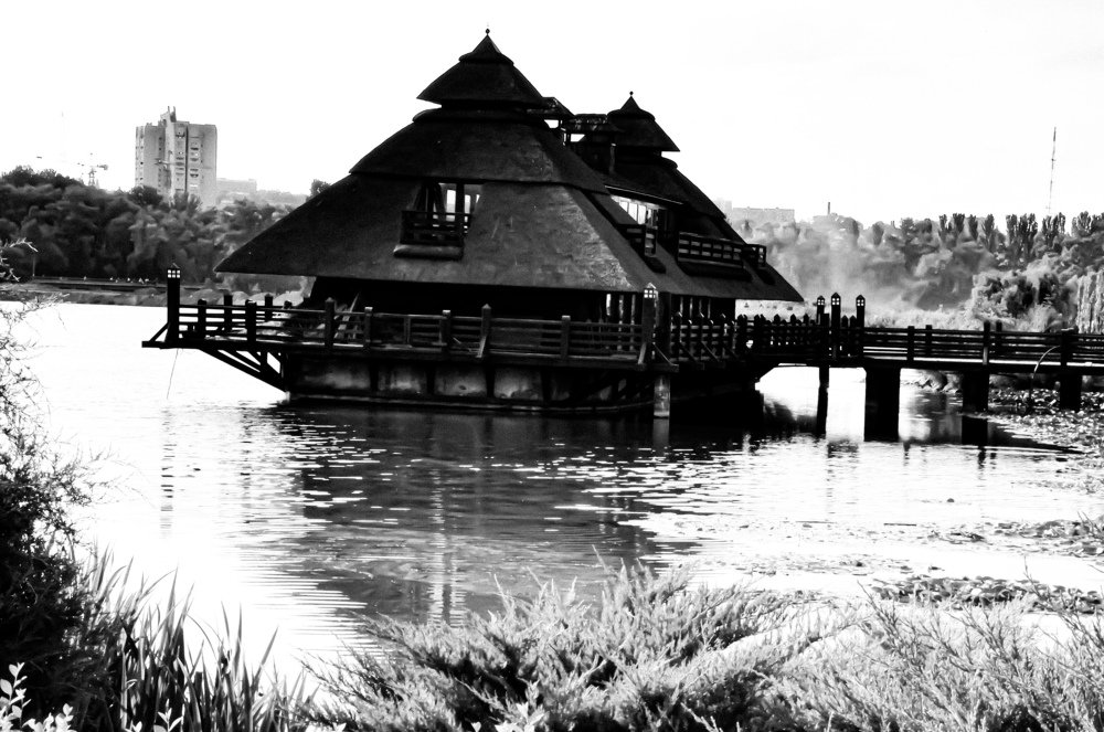 Photograph by Татьяна Маринич