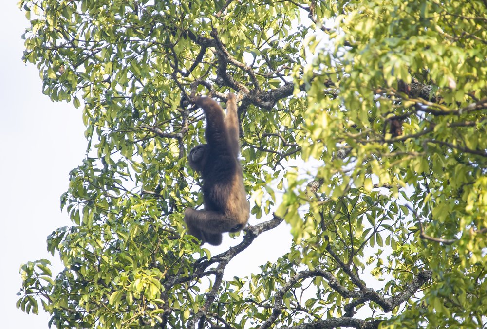 Фотография автора Anil Prabhakar