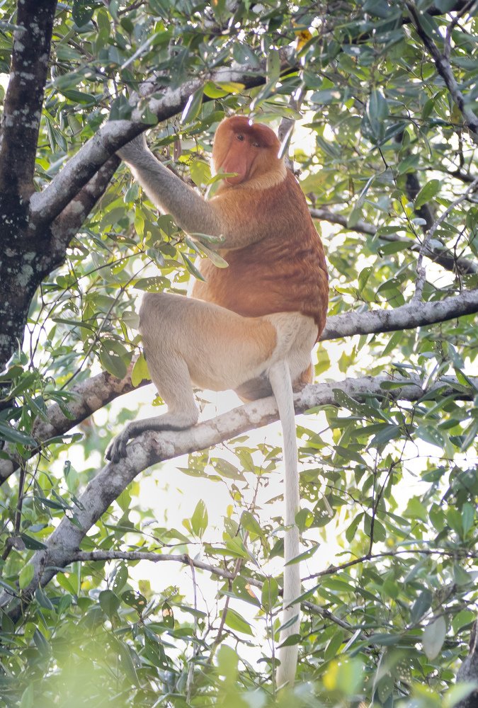 Фотография автора Anil Prabhakar