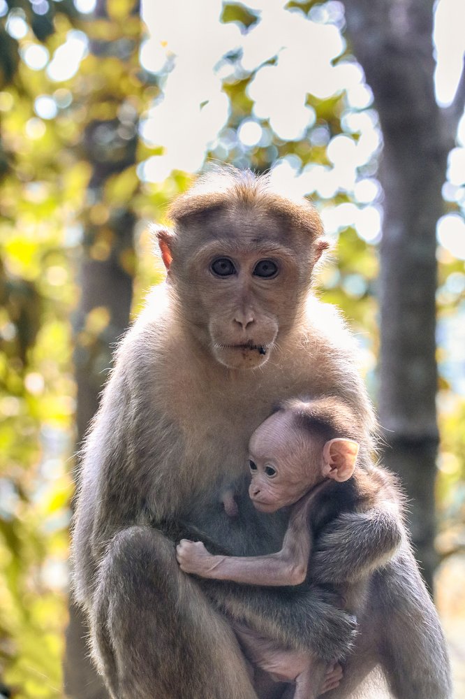 Фотография автора Anil Prabhakar