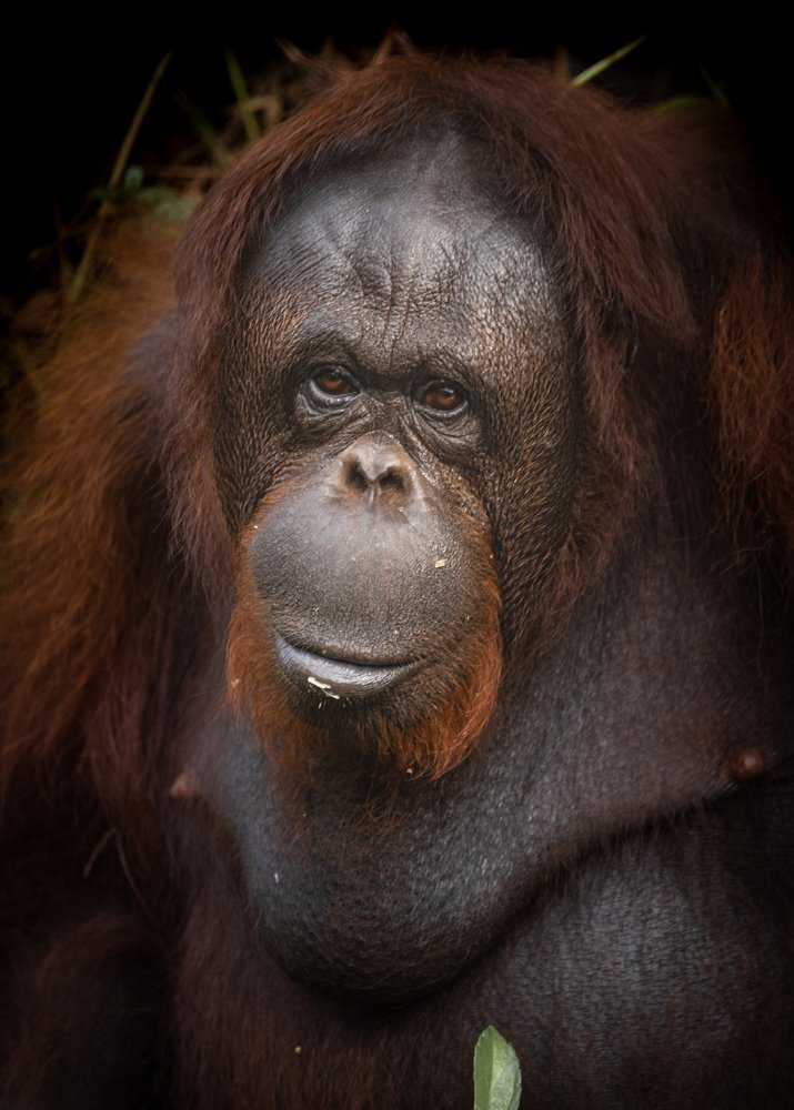 Photograph by Anil Prabhakar