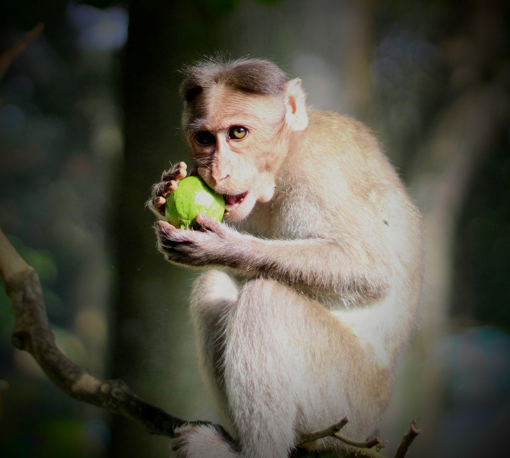 Photograph by Arun Kumar