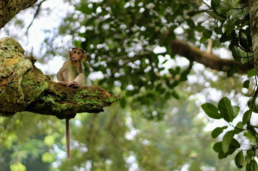 Thinking of the future