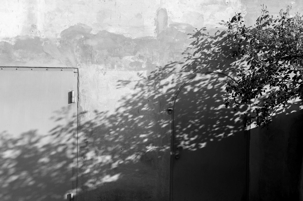 Photograph by Ефимова Анна