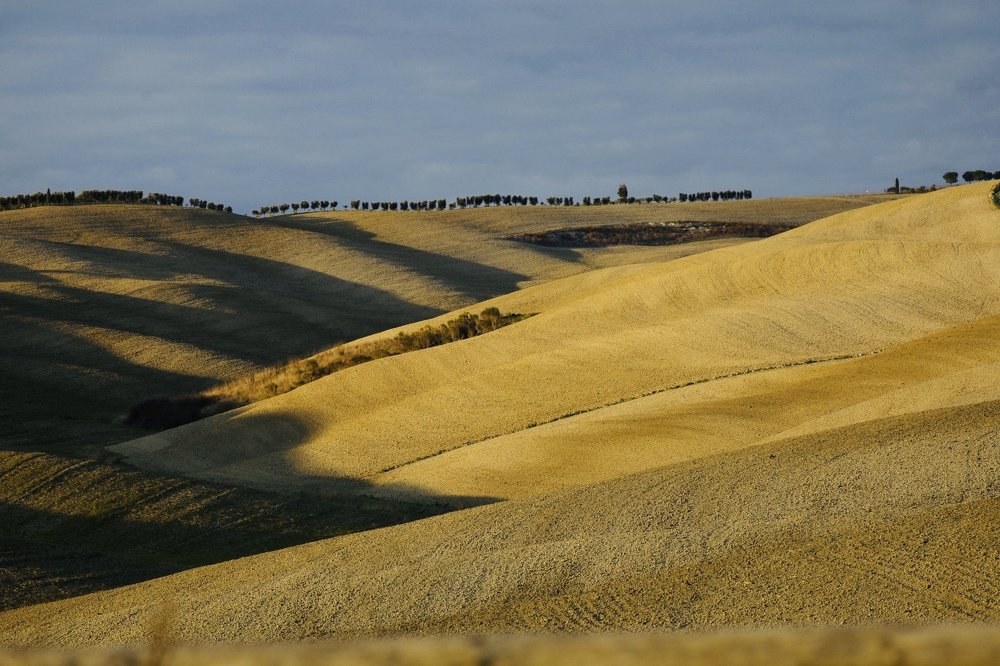 Photograph by Наталья Филькина