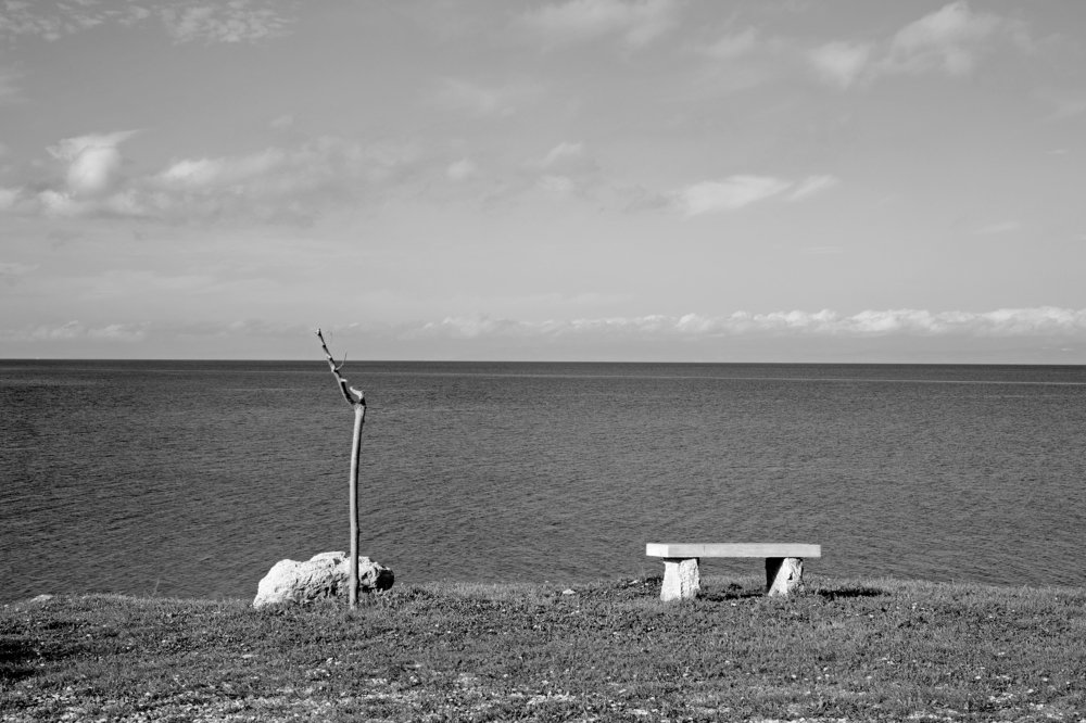 Photograph by Bella Grace