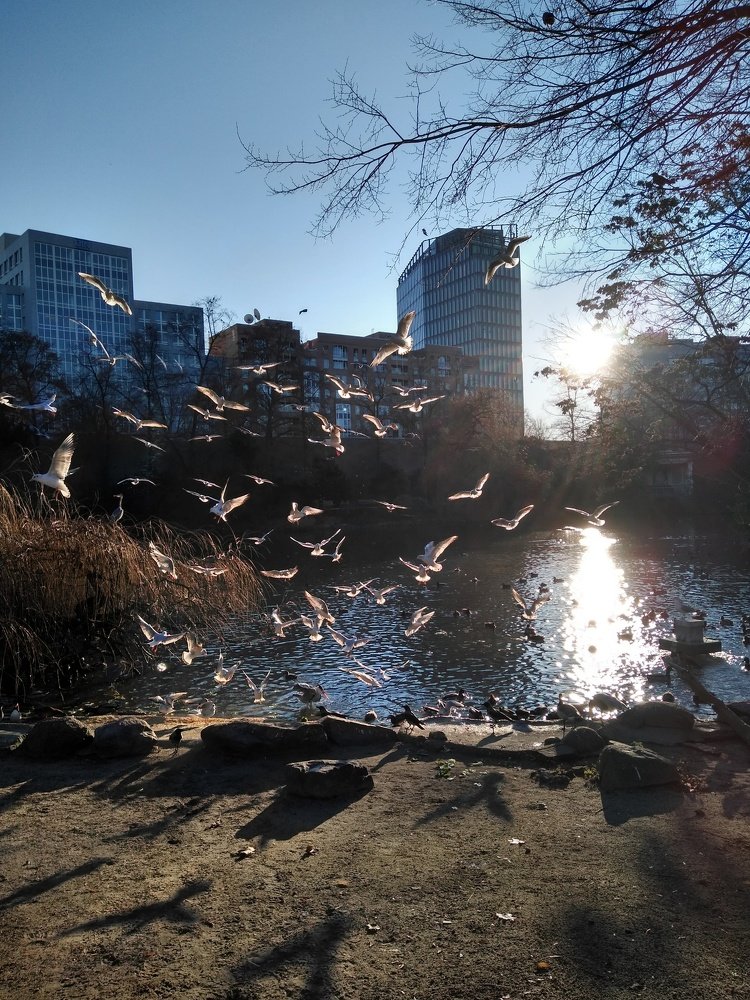 Photo #4177344