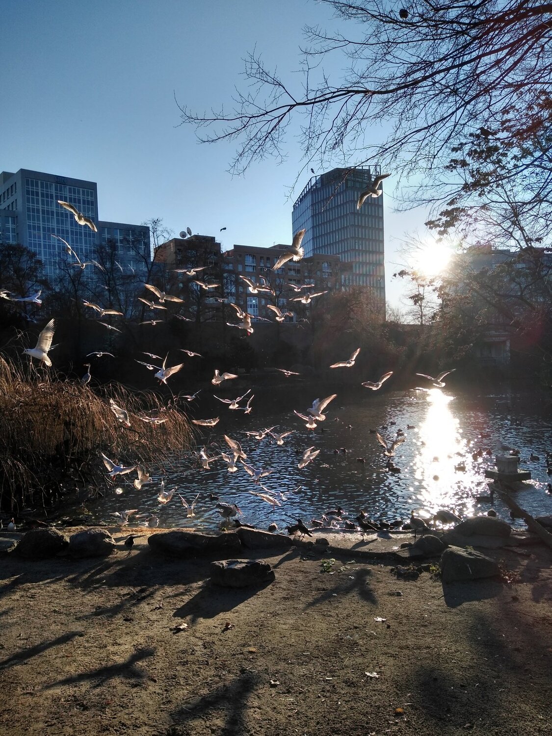 Photo #4177344