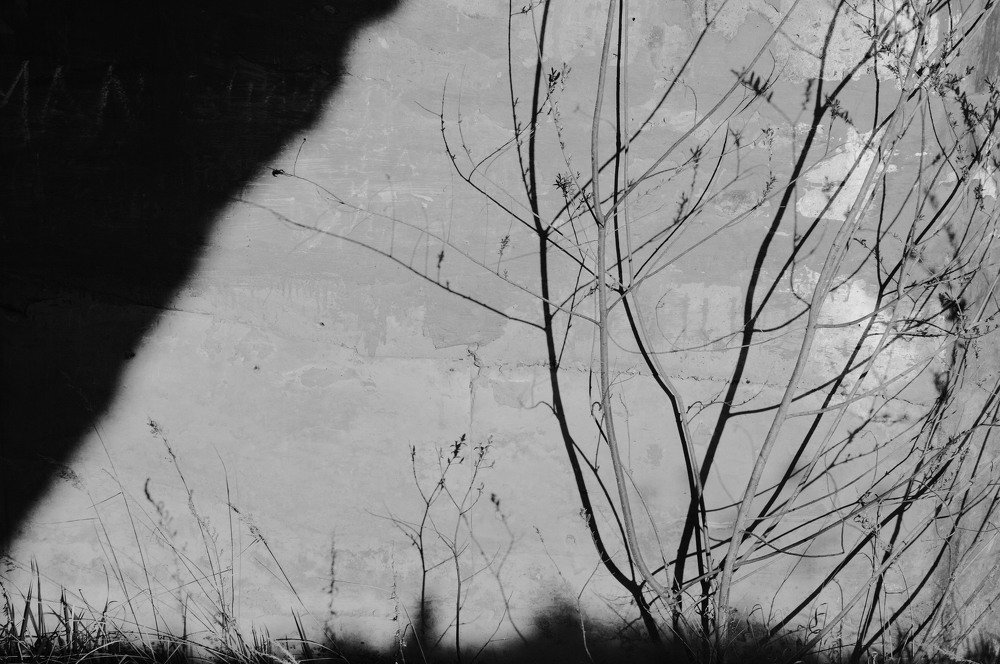 Photograph by Вероника Ратникова