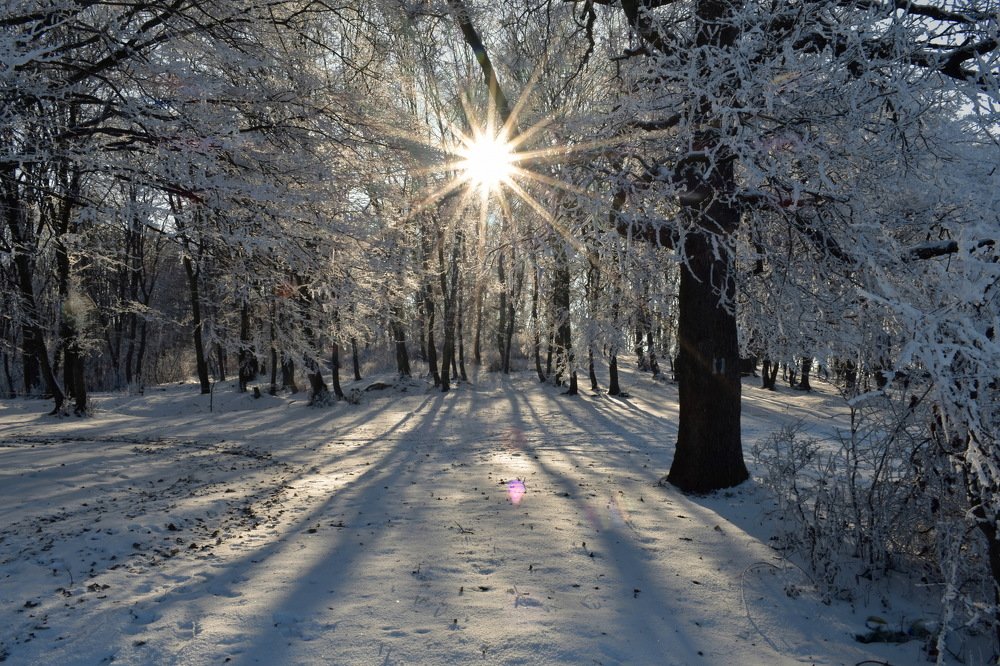 Фотография автора Marius Forgaciu