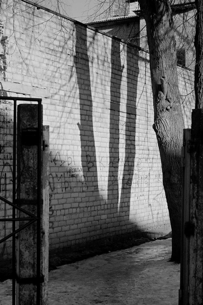 Photograph by Вероника Ратникова