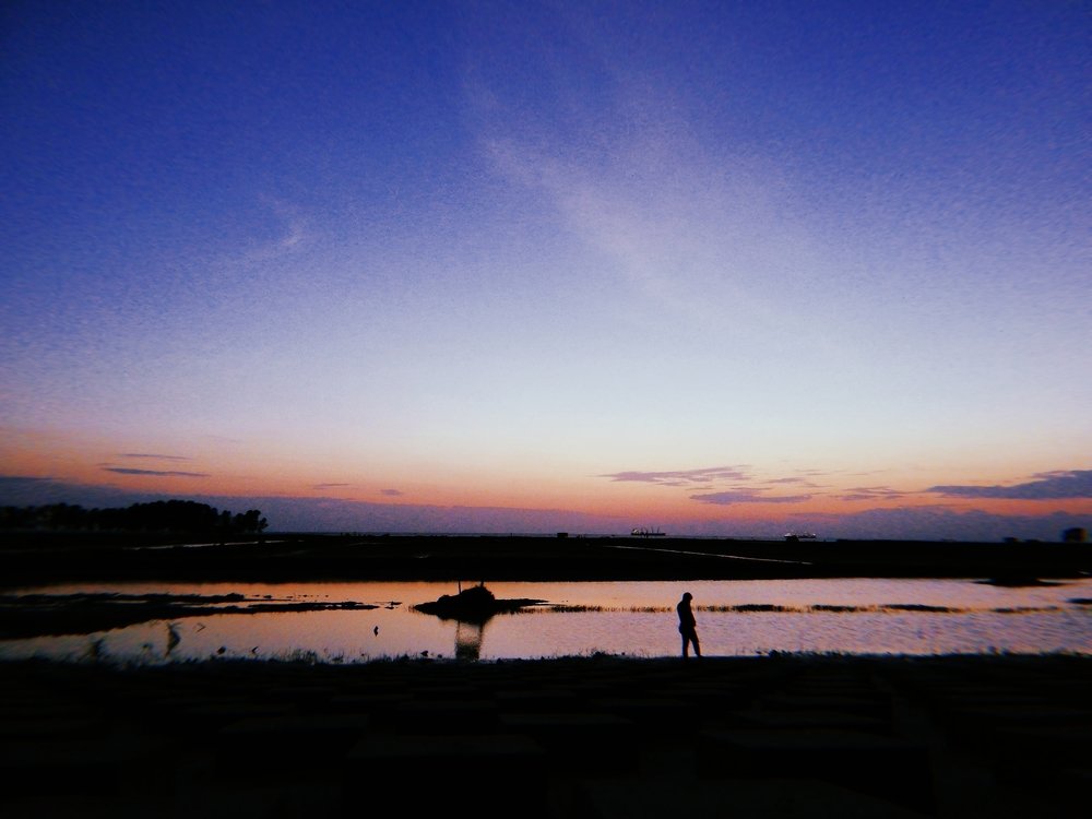Photo #4177468
